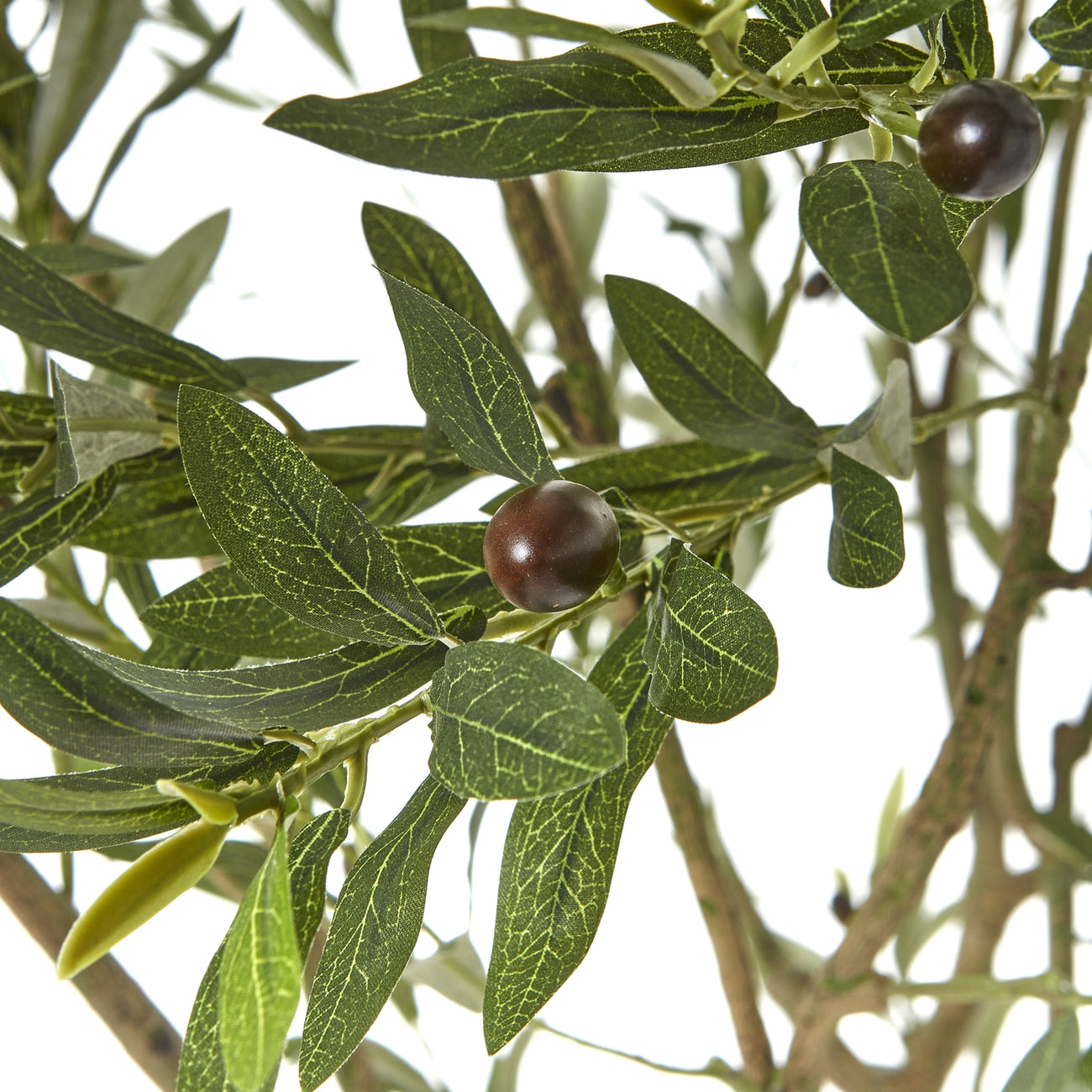 Faux olive tree foliage detail