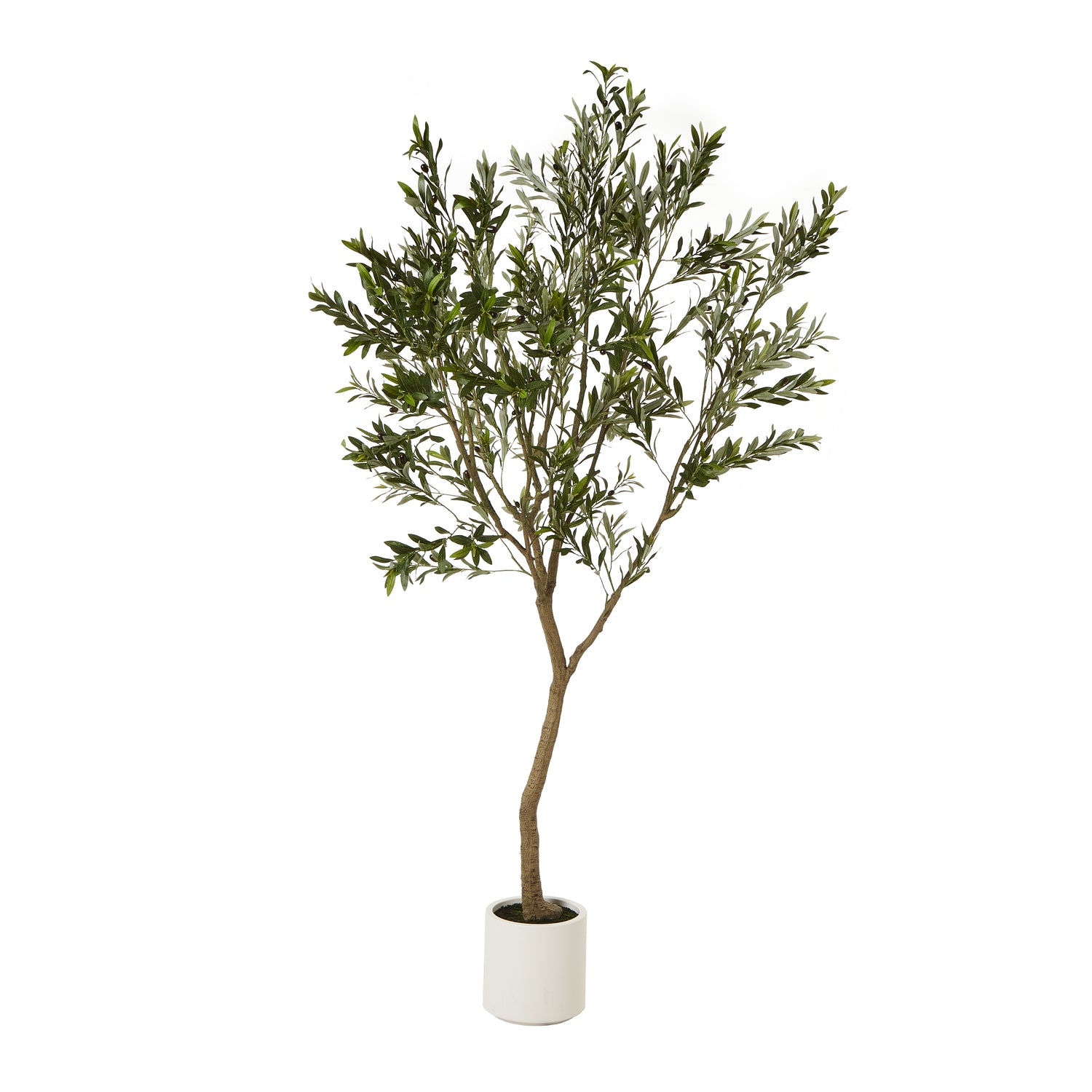 Tall 240cm faux olive tree in a white pot
