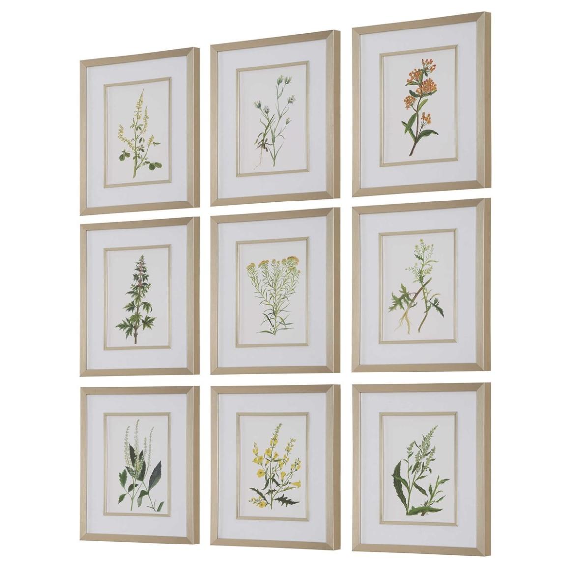 Botanical Flowers Framed Prints, Set of 9