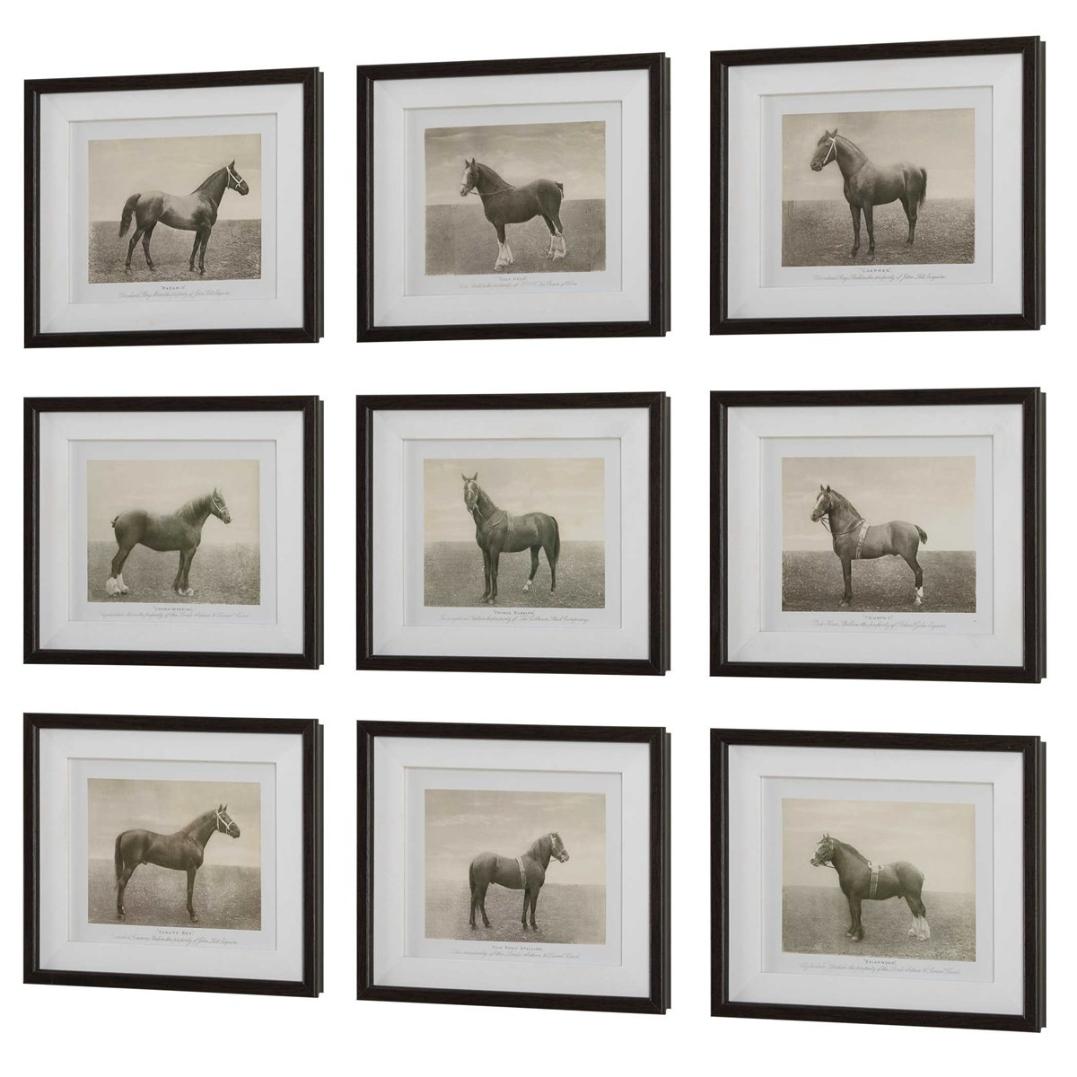 Equine Dynasty Framed Prints – Set of 9