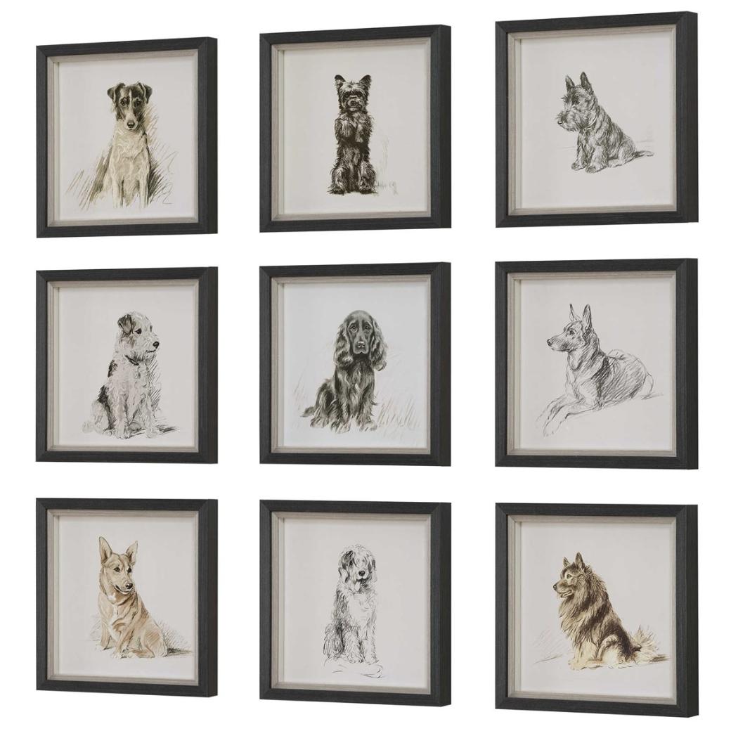 Loyal Companion Framed Dog Prints, Set of 9