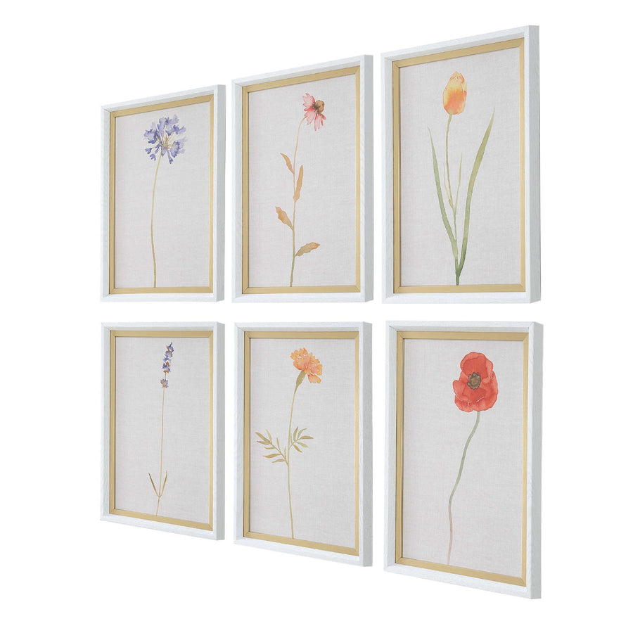 Wild Flourish Framed Prints – Set of 6