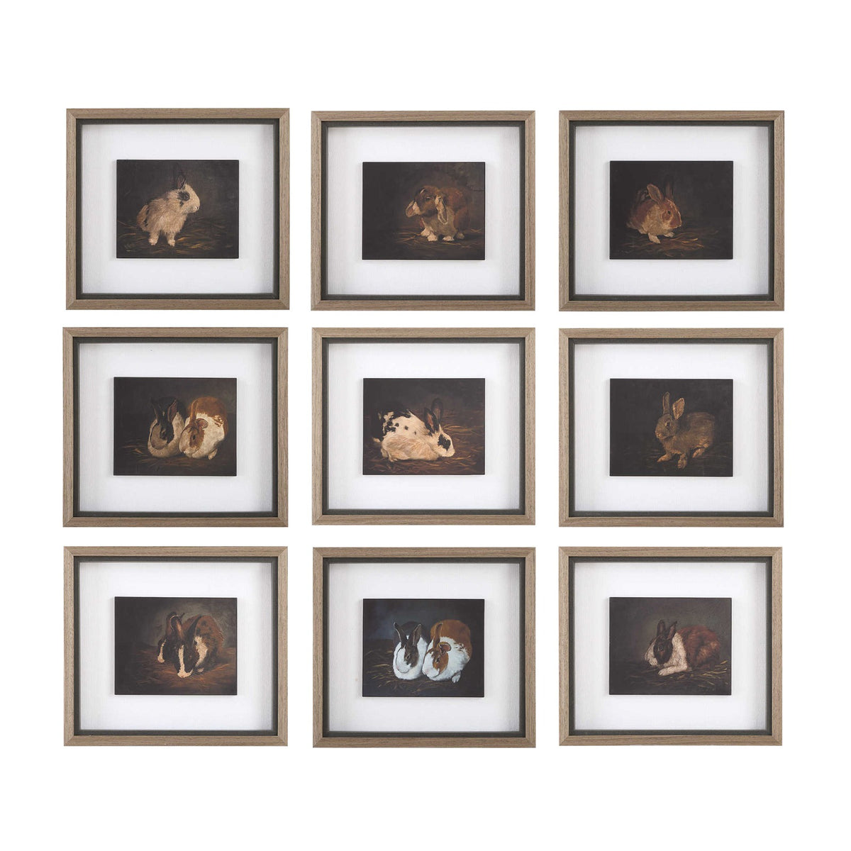 Resting Bunny Framed Prints – Set of 9