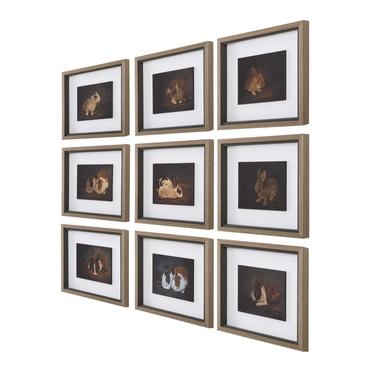 Resting Bunny Framed Prints – Set of 9