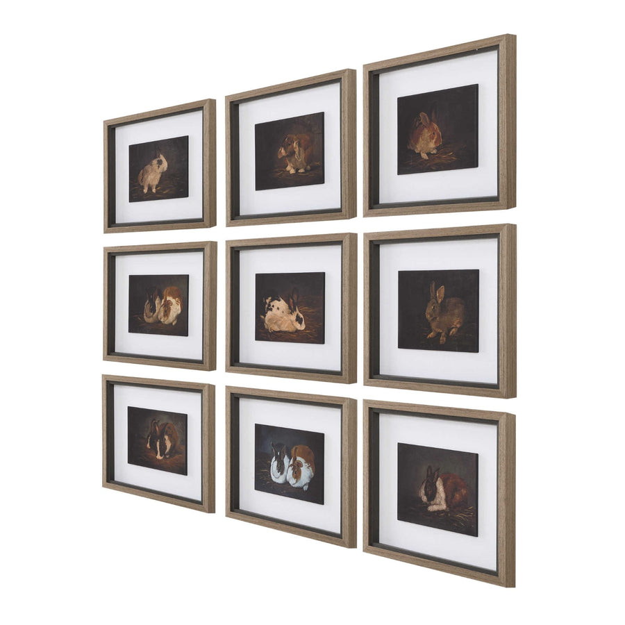 Resting Bunny Framed Prints – Set of 9