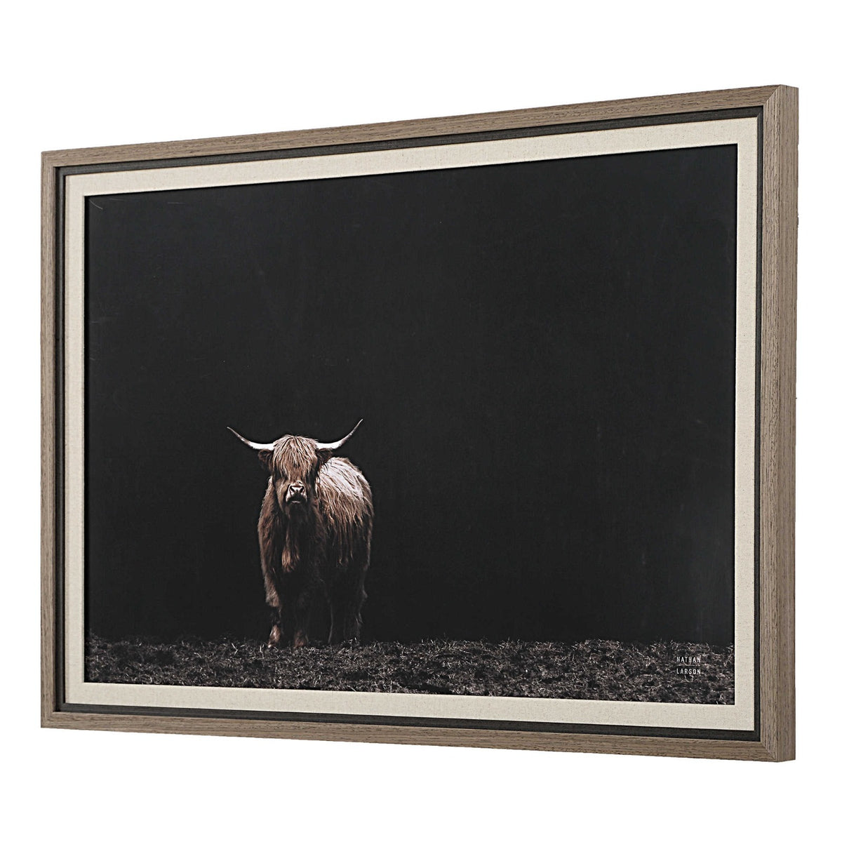 King of the Hill Highland Cow Photography Print