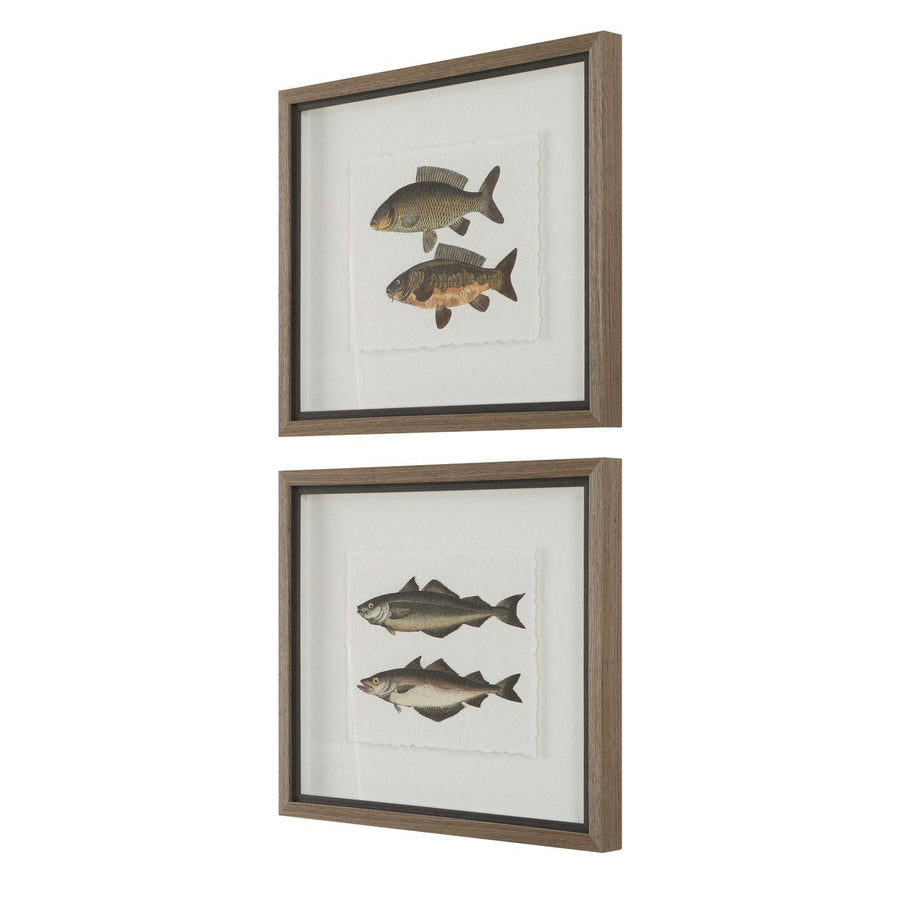 The Catch Framed Fish Prints – Set of 2