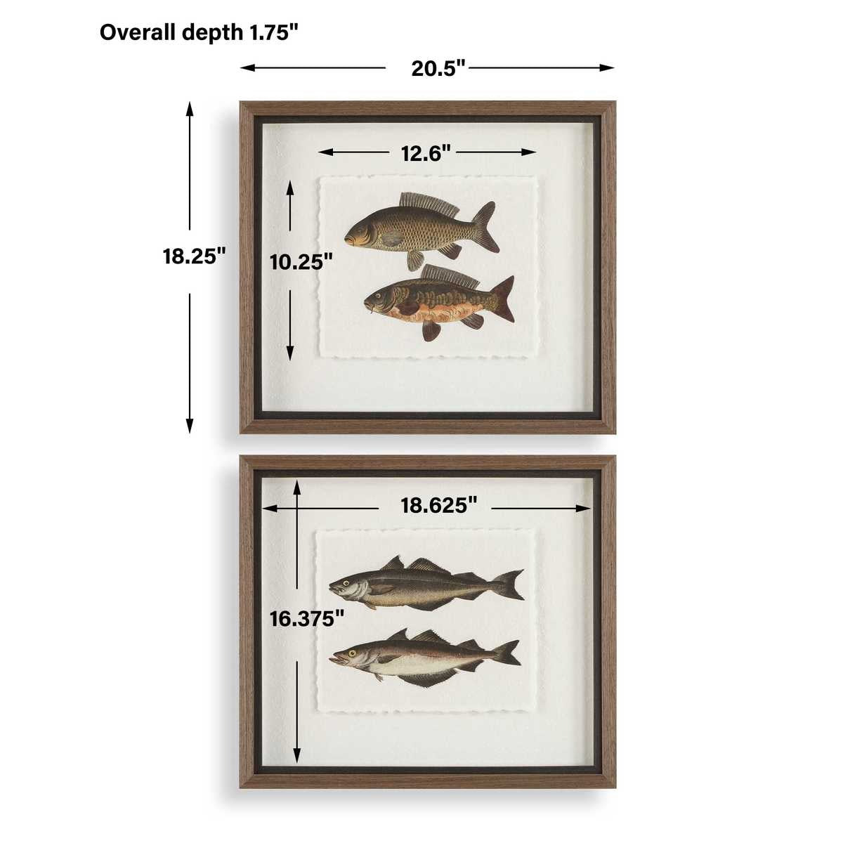 The Catch Framed Fish Prints – Set of 2