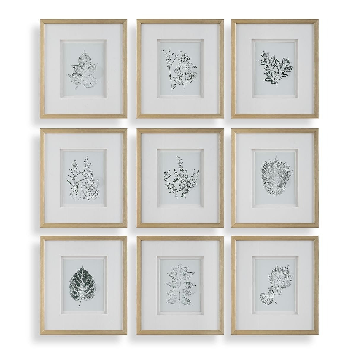 Nature's Script Framed Botanical Prints – Set of 9