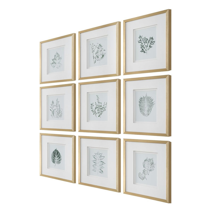 Nature's Script Framed Botanical Prints – Set of 9
