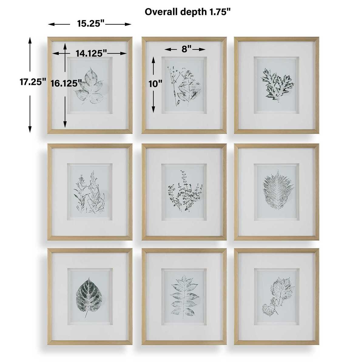 Nature's Script Framed Botanical Prints – Set of 9