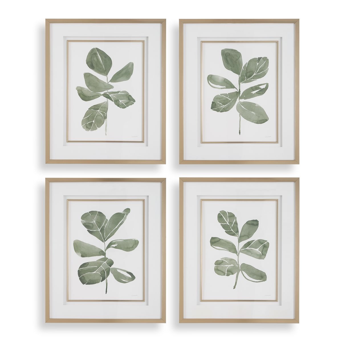 Fiddle Head Leaf Botanical Prints, Set of 4