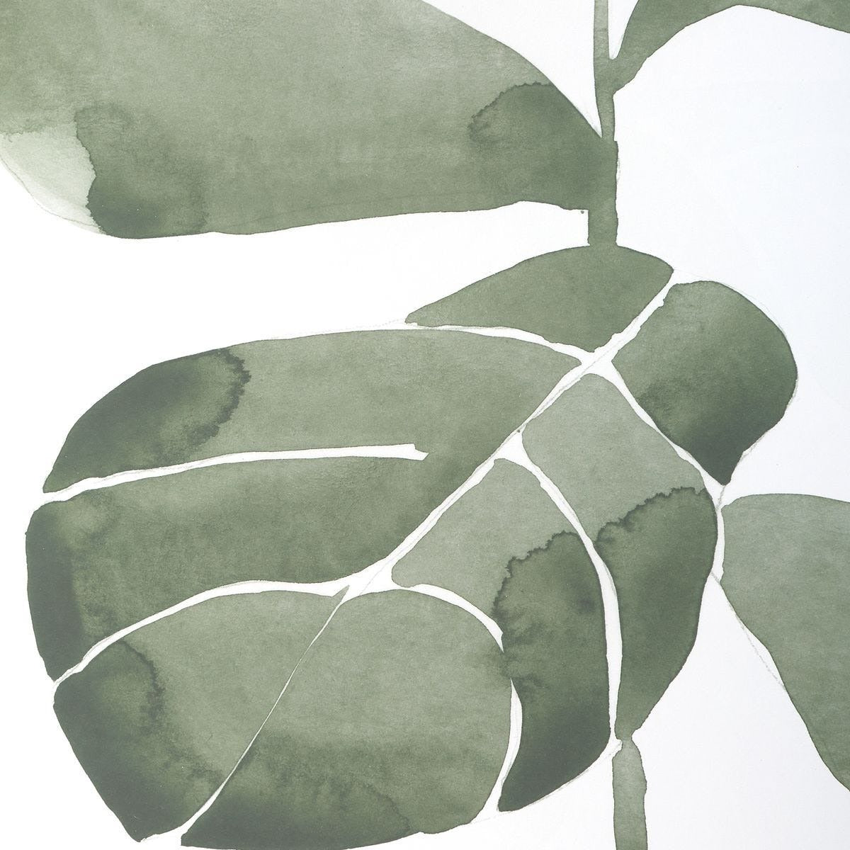 Fiddle Head Leaf Botanical Prints, Set of 4