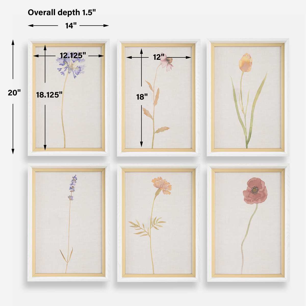 Wild Flourish Framed Prints – Set of 6