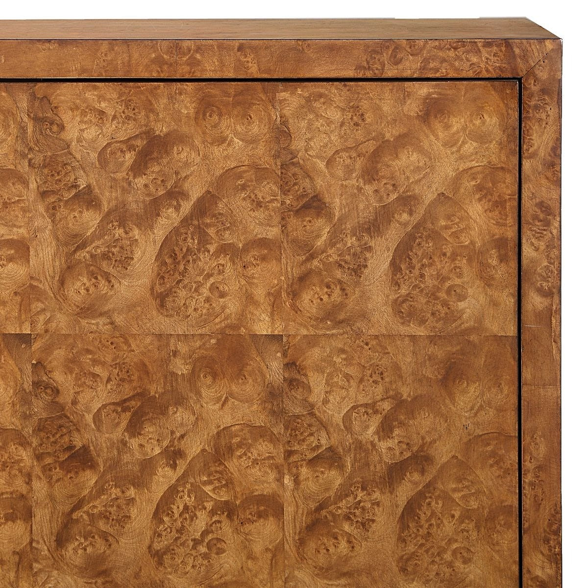 Jethro Burl 2 Door Cabinet