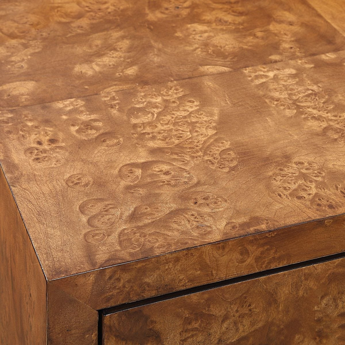 Jethro Burl 2 Door Cabinet