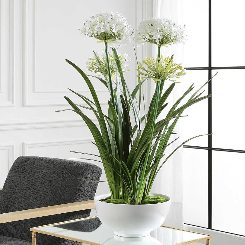 Purity Agapanthus Centrepiece