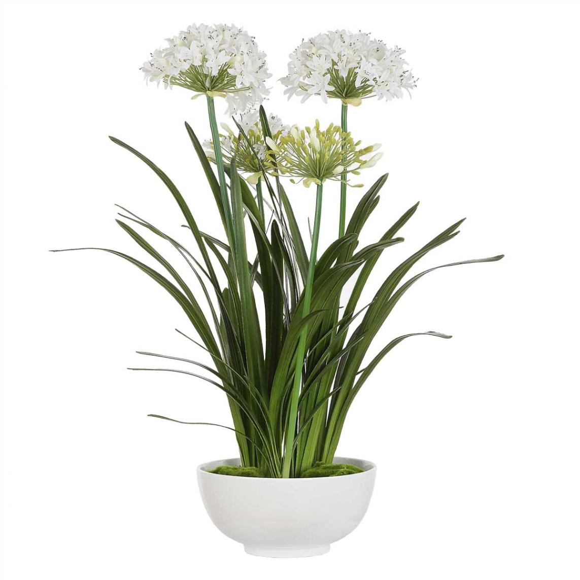 Purity Agapanthus Centrepiece