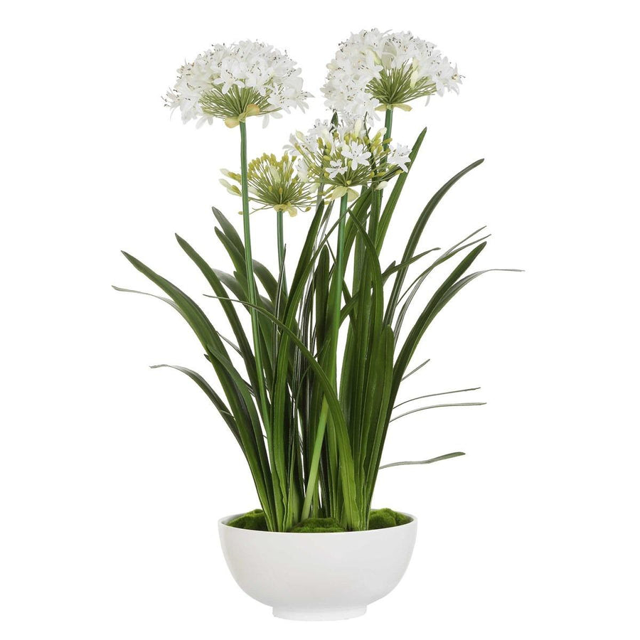 Purity Agapanthus Centrepiece