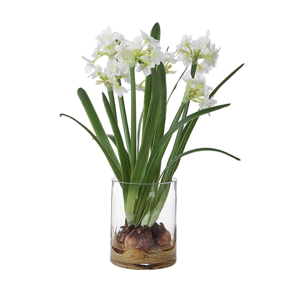 Lacey Daffodil Accent