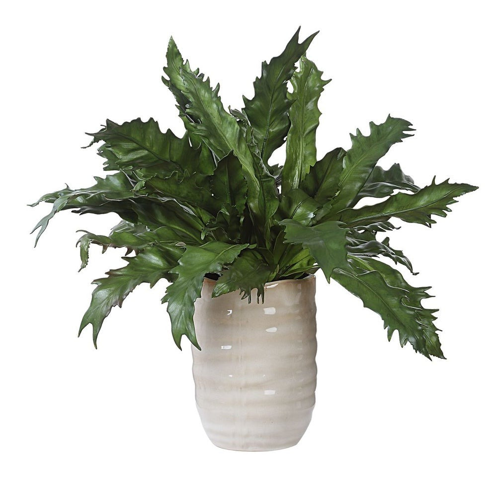 Verdure Fern