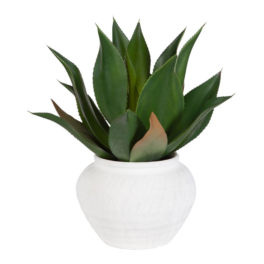 Tierra Agave Centrepiece
