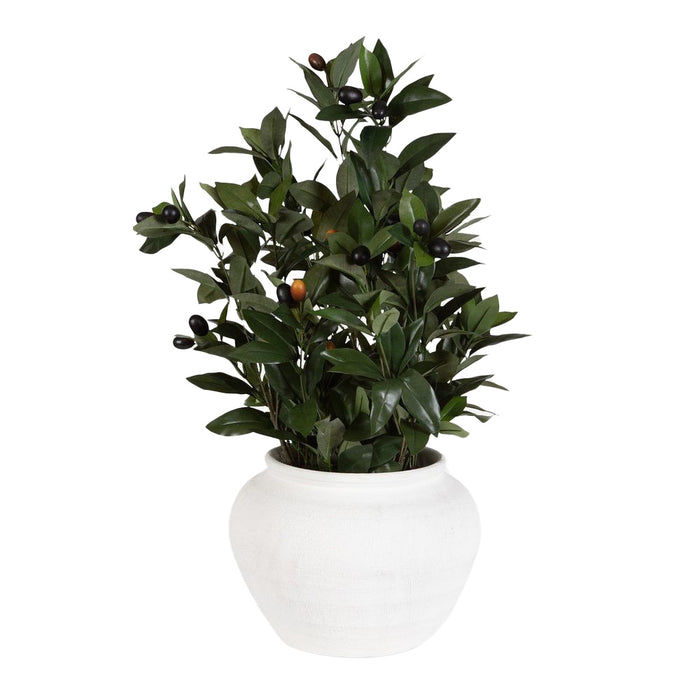Elena Olive Centrepiece