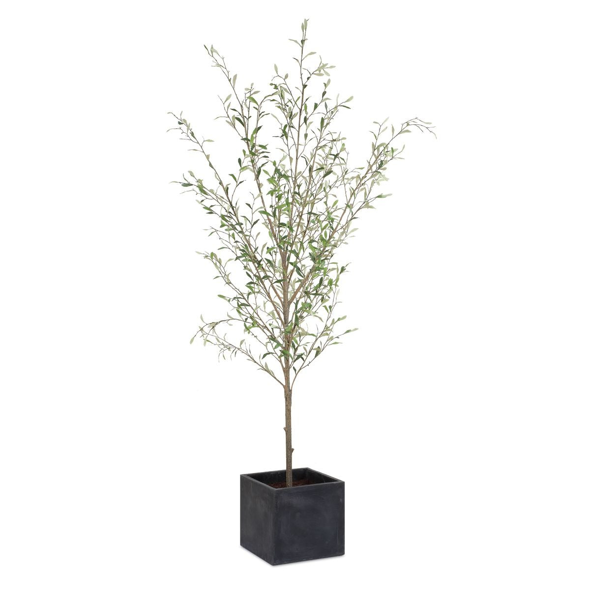 Abundance Faux Potted Olive Tree
