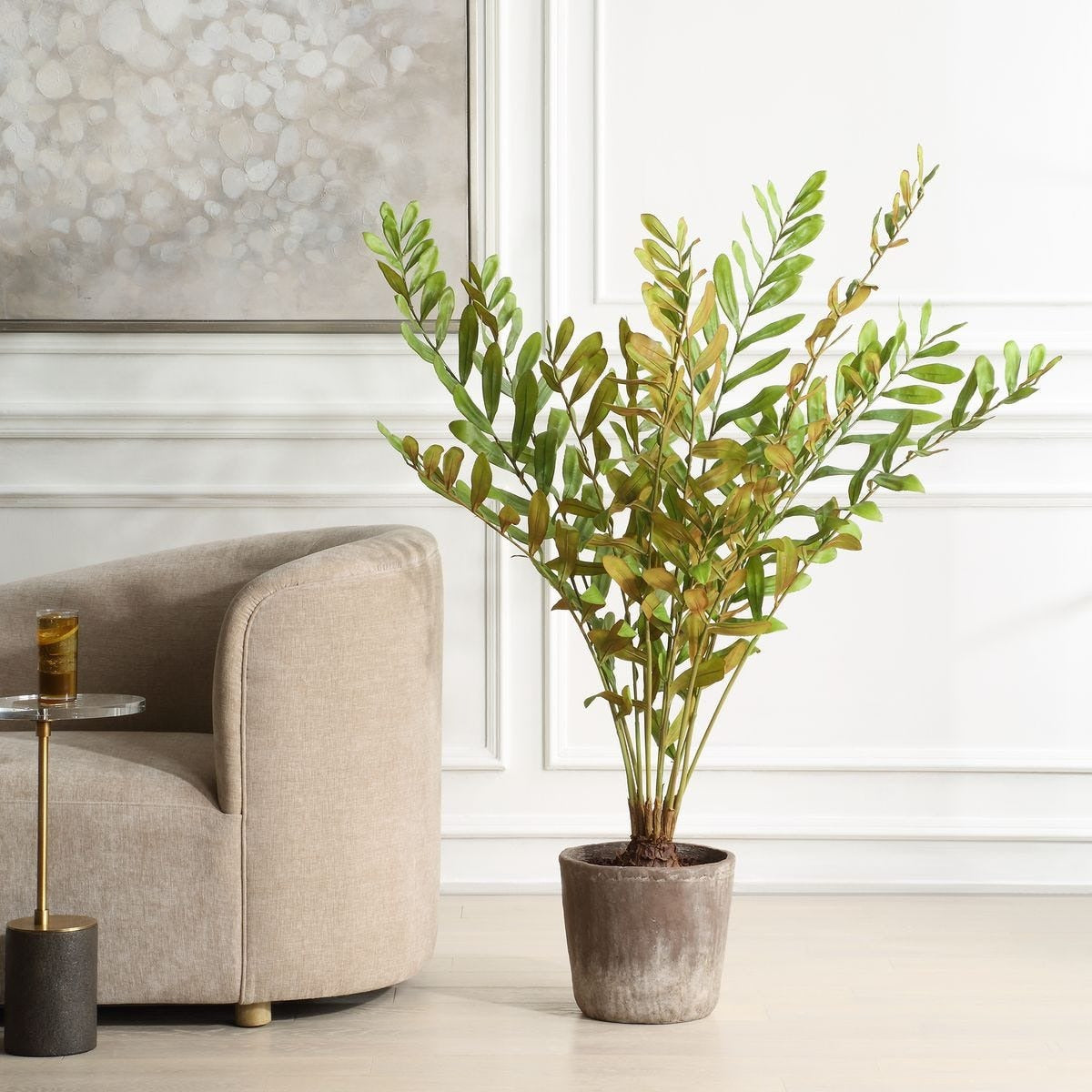 Zamia Palm Accent in Planter