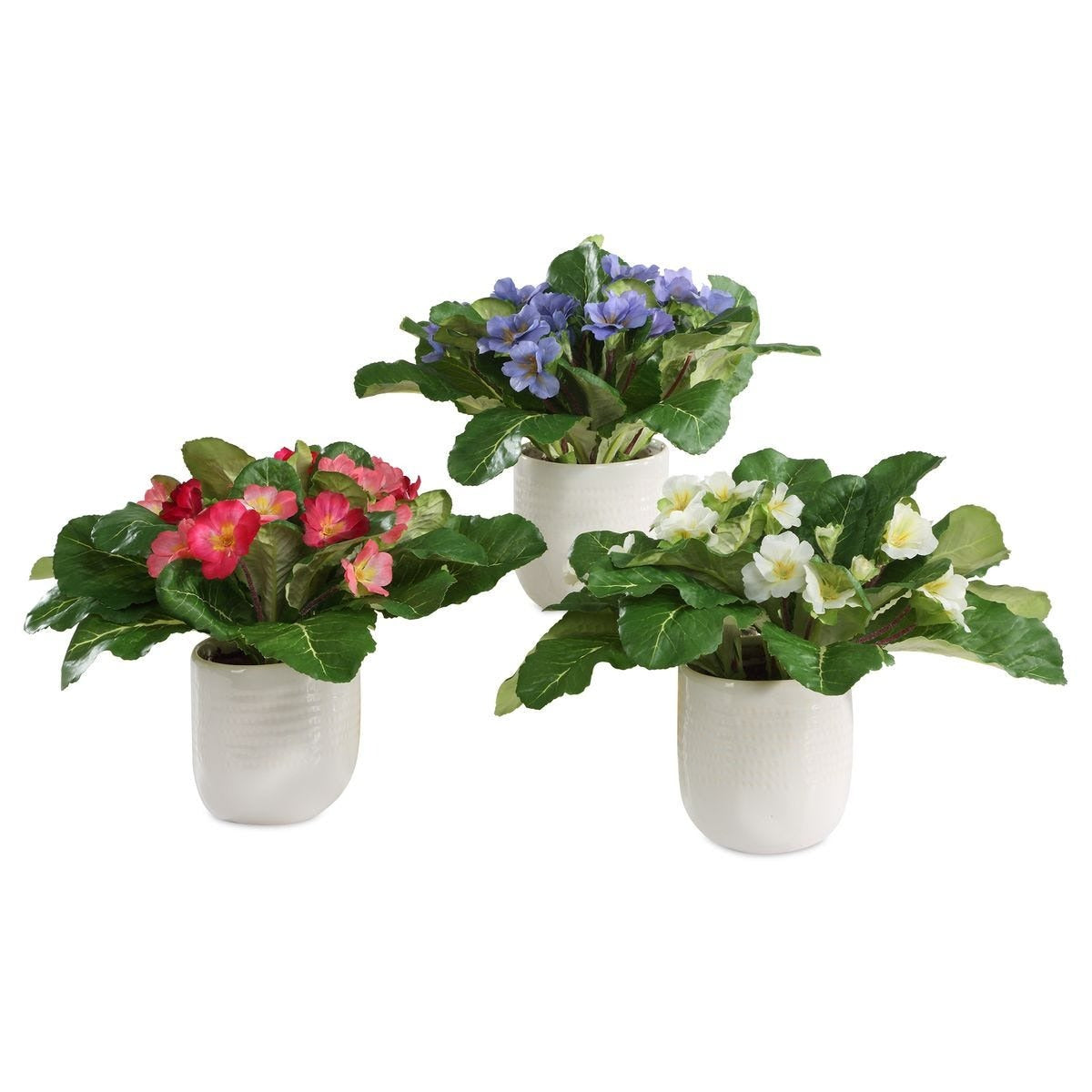 Trilogy Primrose Accents in Vases – Set of 3