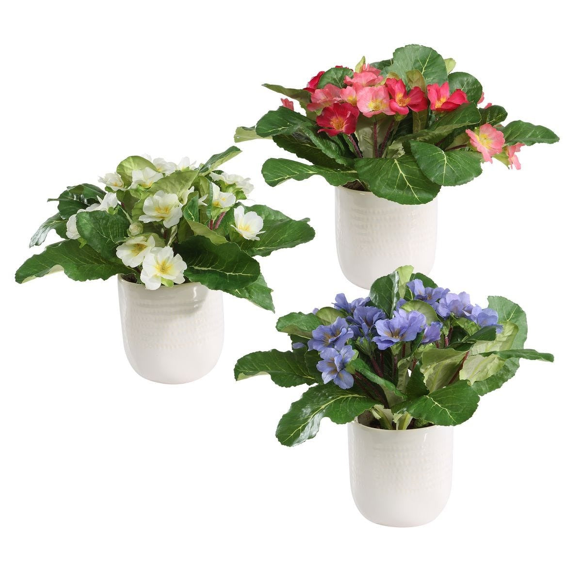 Trilogy Primrose Accents in Vases – Set of 3