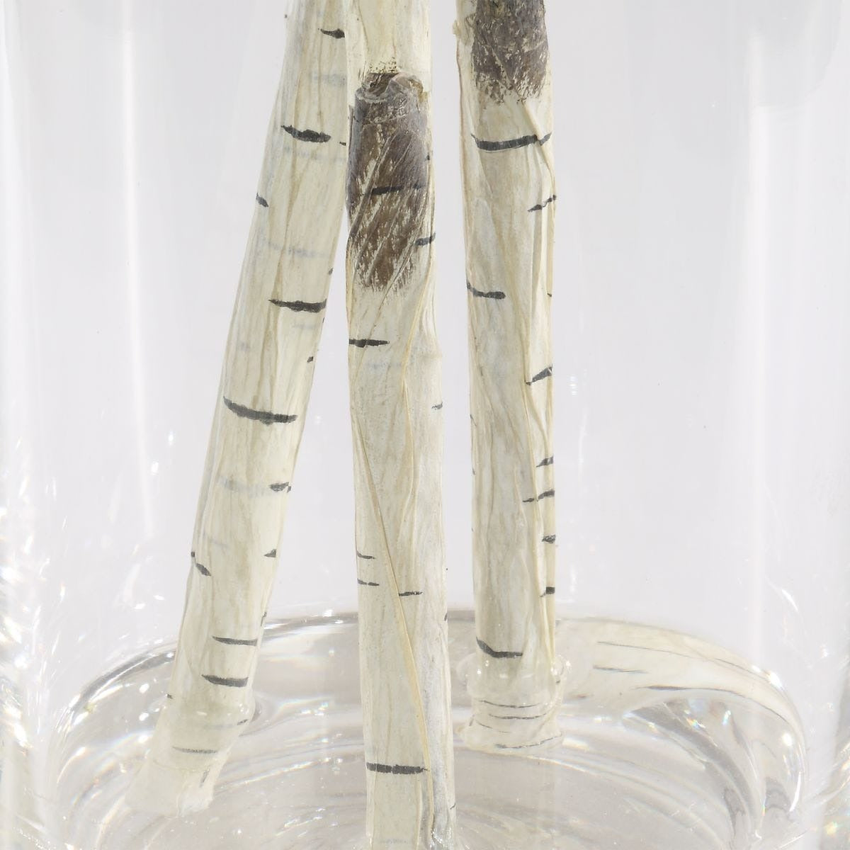 Nigra Birch Vase Centerpiece