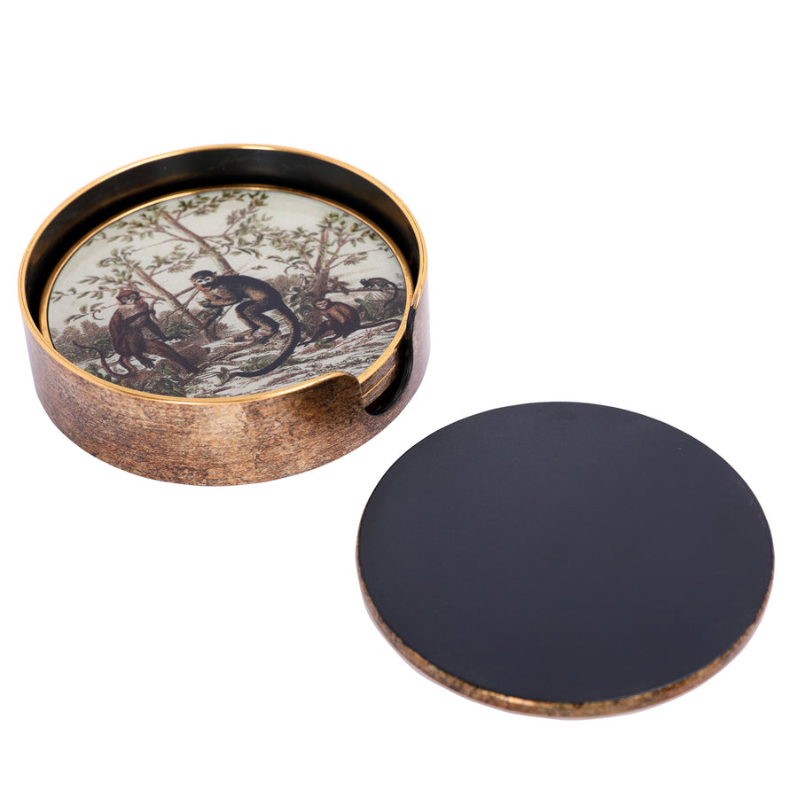 Monkey Jungle Set Coasters