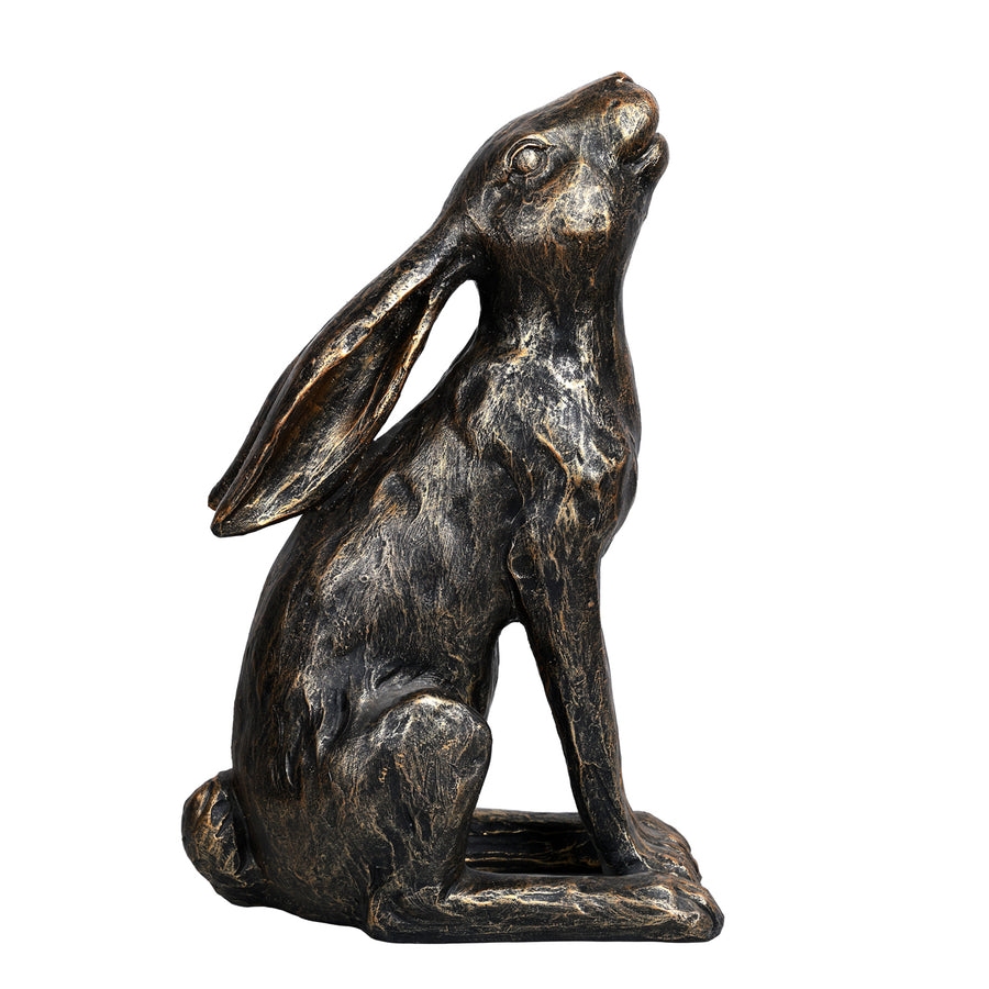 Harry Stargazing Hare