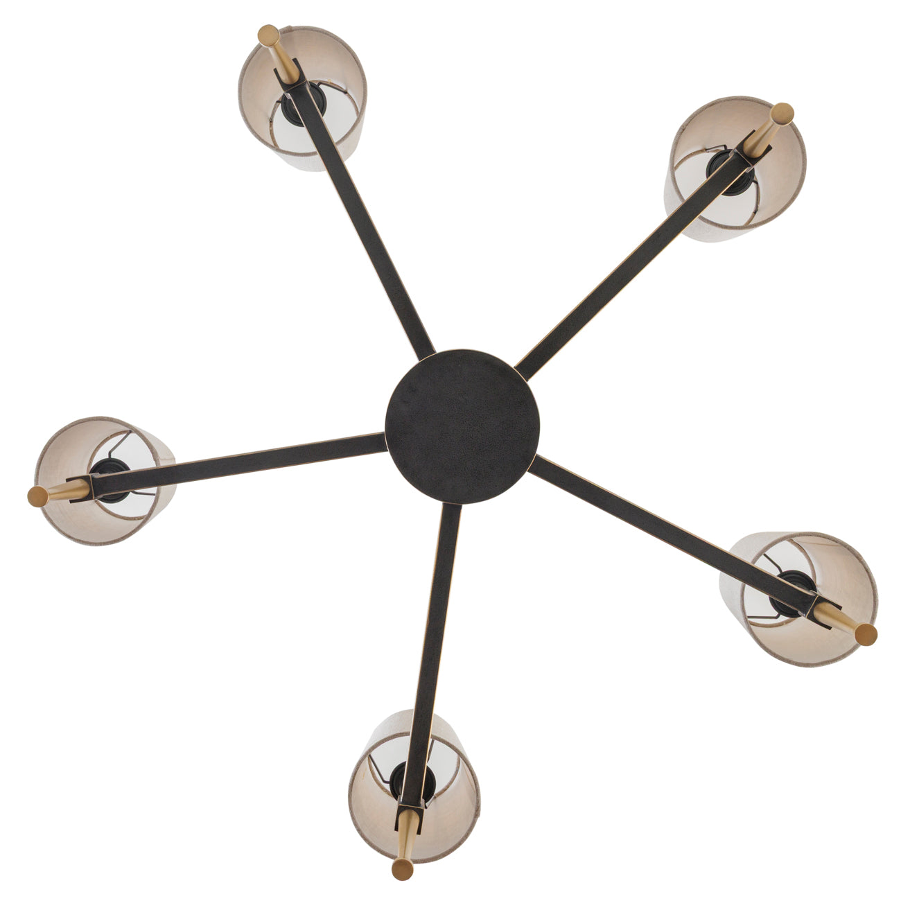 Stella 5 Light Pendant with Shades