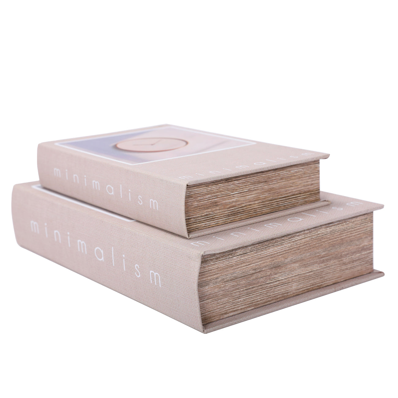 Minimalism Set of 2 Book Boxes
