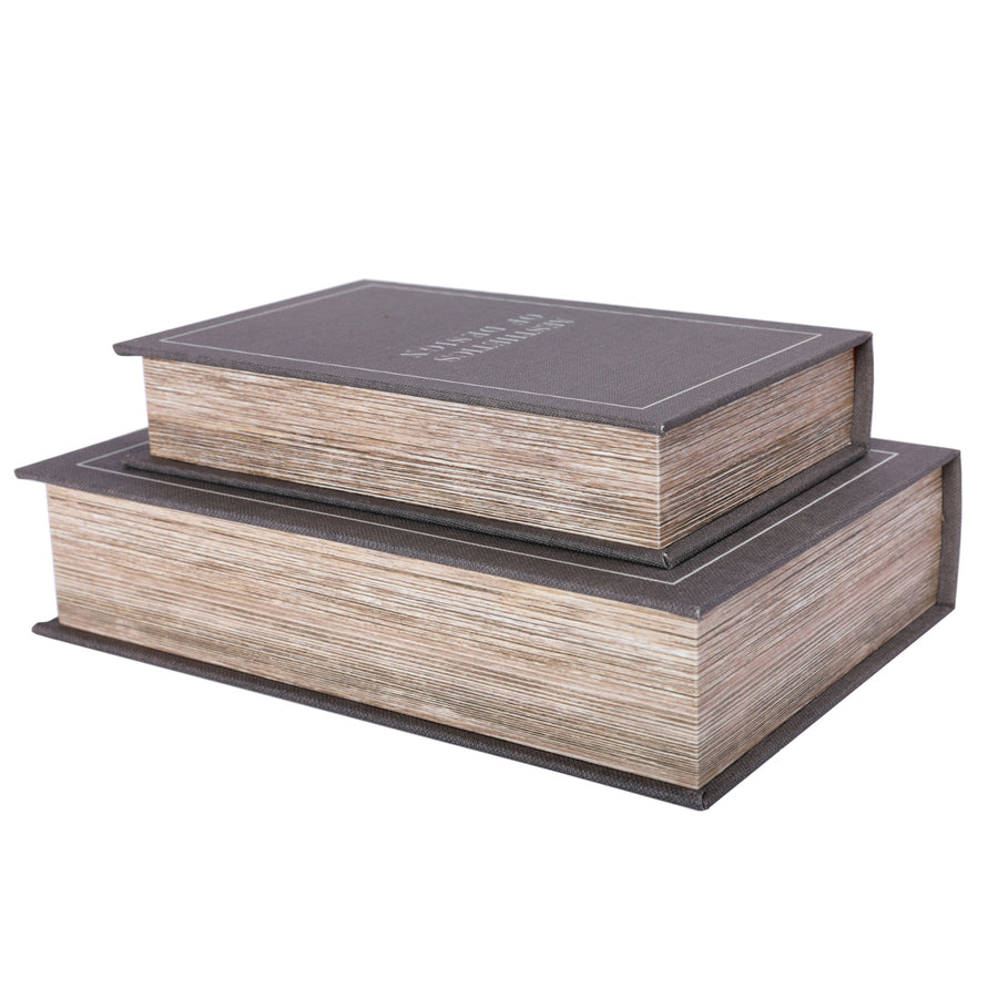 Aesthetics of Design Set of 2 Book Boxes