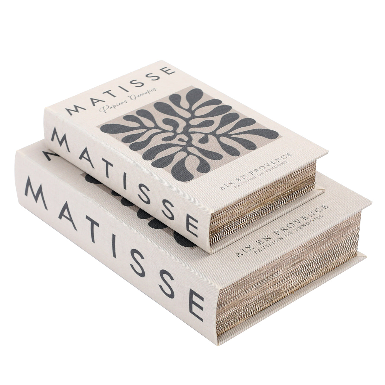 Matisse Set of 2 Book Boxes