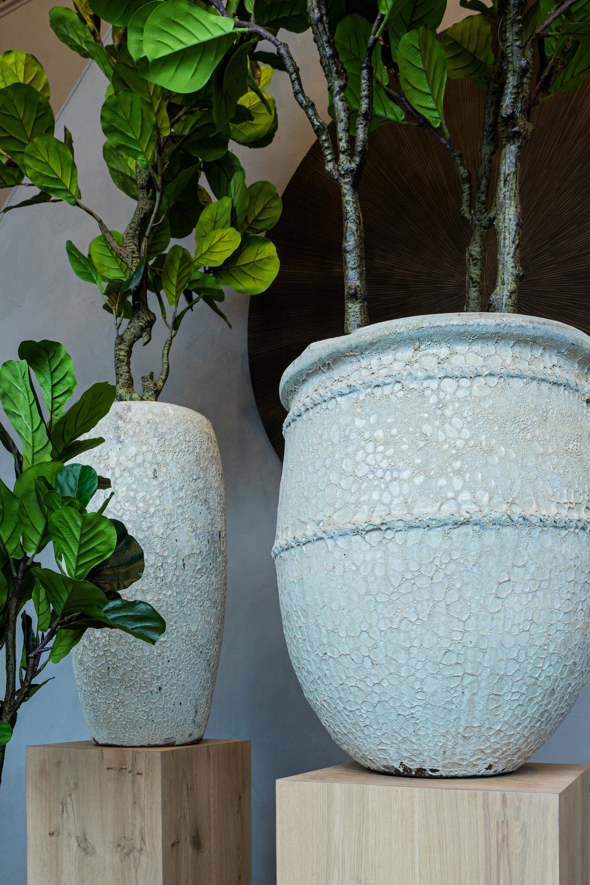 Tony white ceramic jar planter, large low