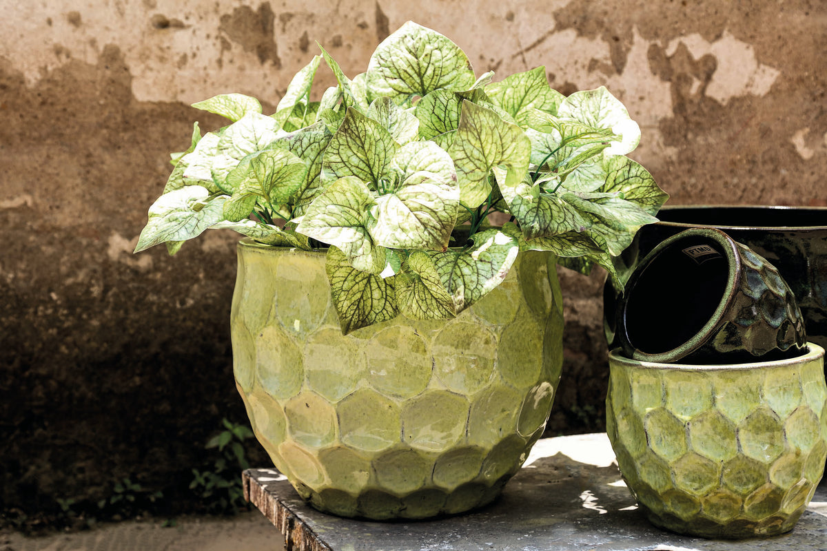 Charlie yellow stoneware planter with circle pattern