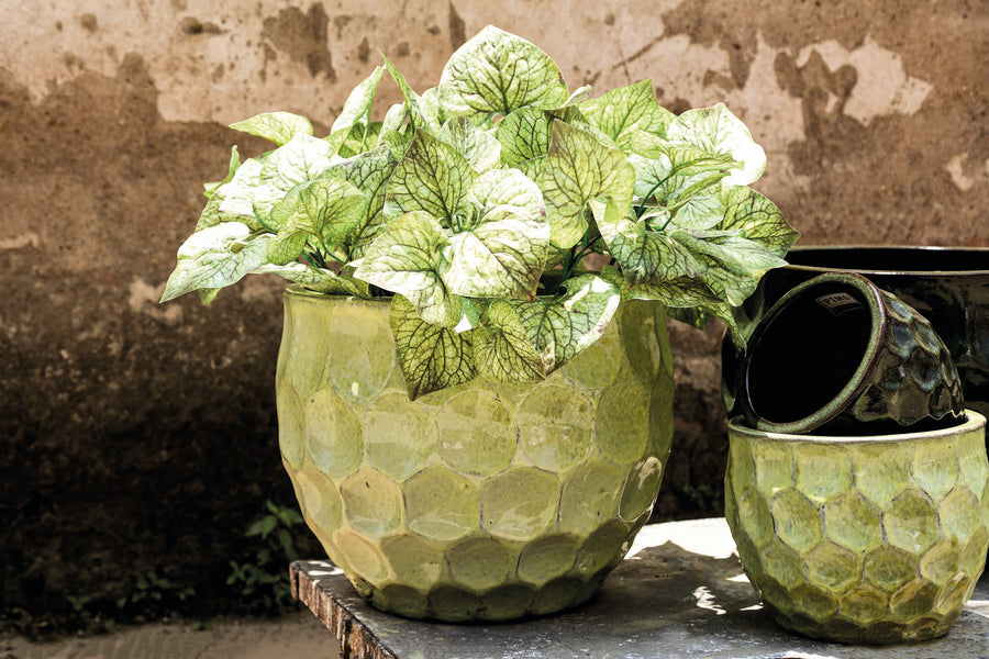 Charlie yellow stoneware planter with circle pattern