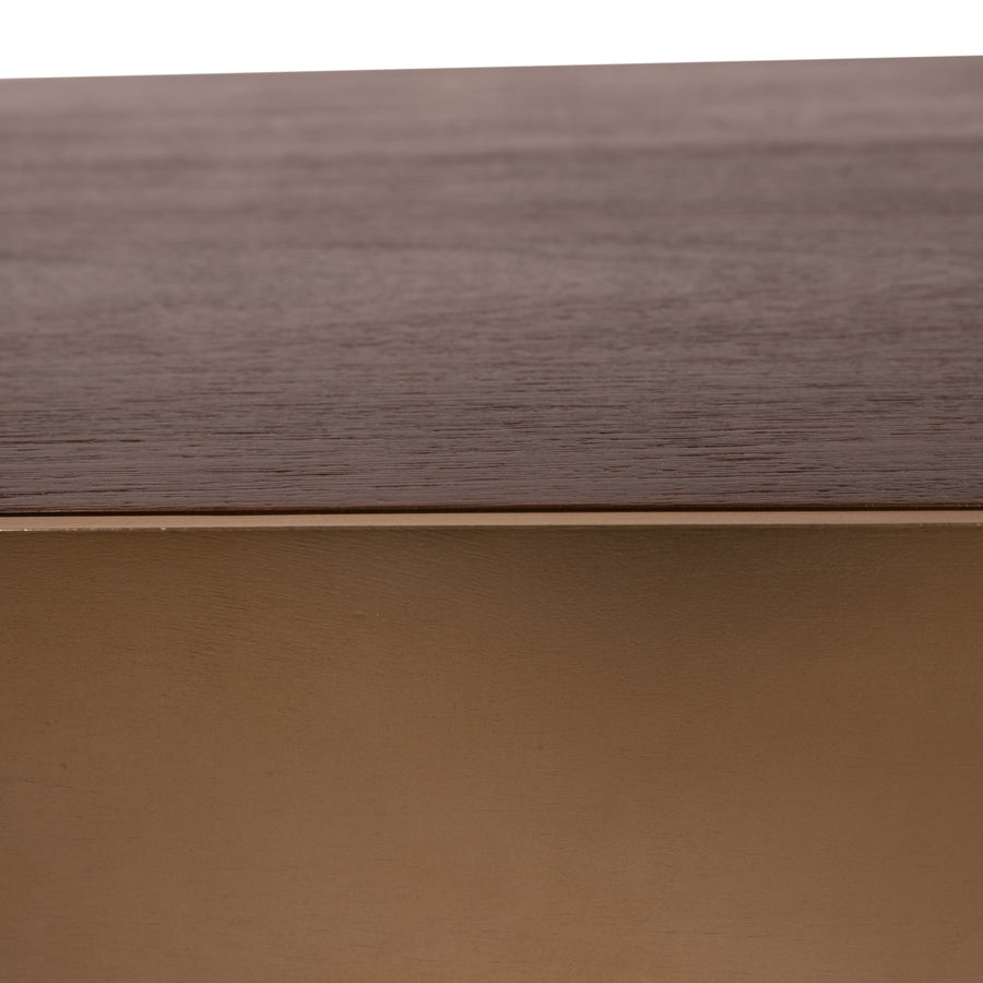 Warren brown solid mango wood coffee table
