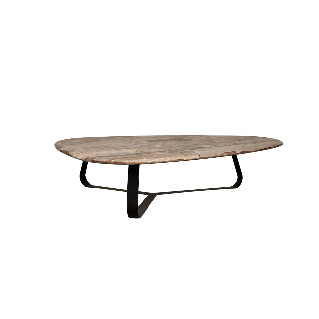 Deeba petrified wood coffee table