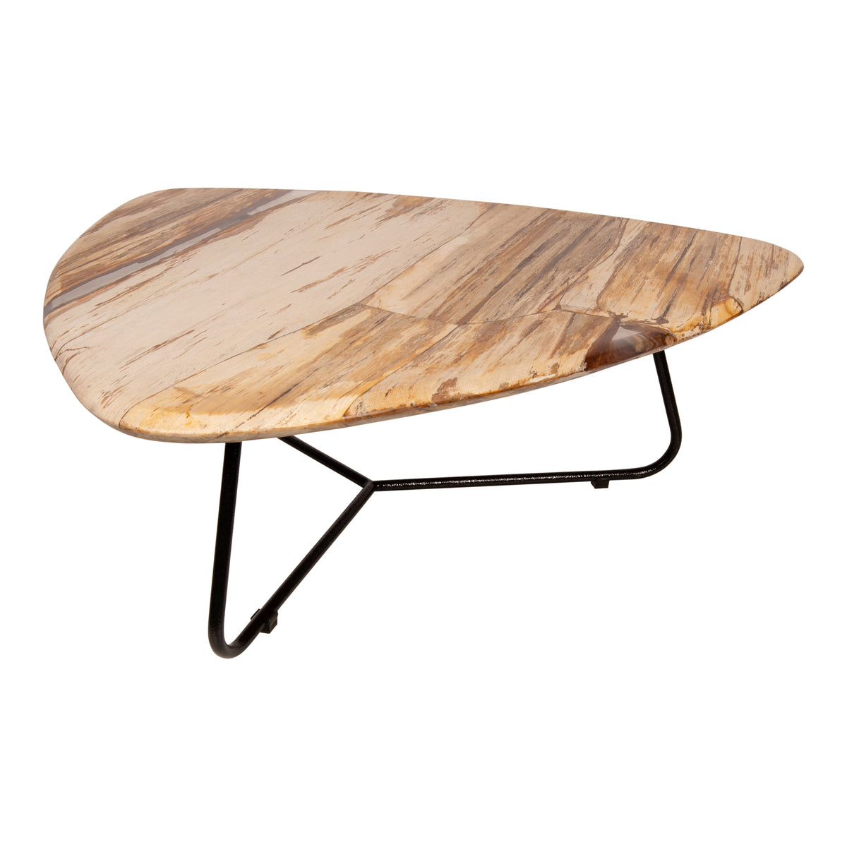 Deeba natural polished petrified wood coffee table