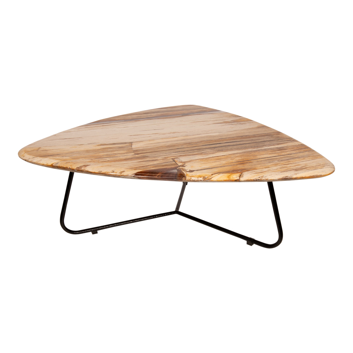 Deeba natural polished petrified wood coffee table