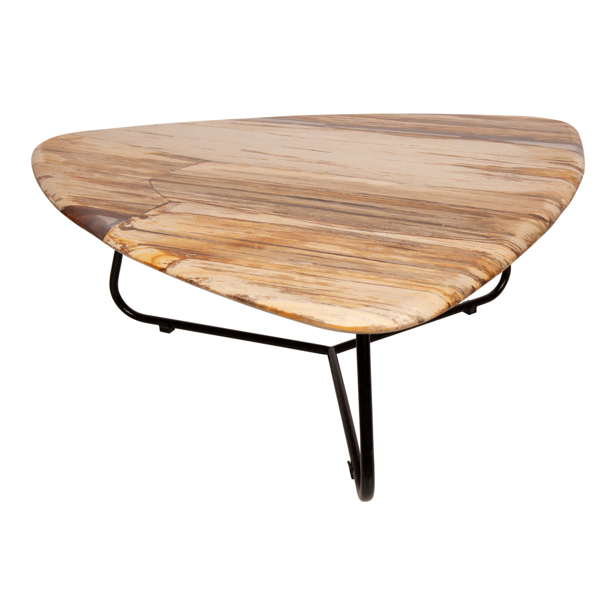 Deeba natural polished petrified wood coffee table