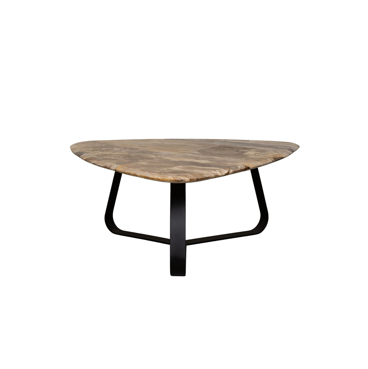 Deeba natural polished petrified wood coffee table