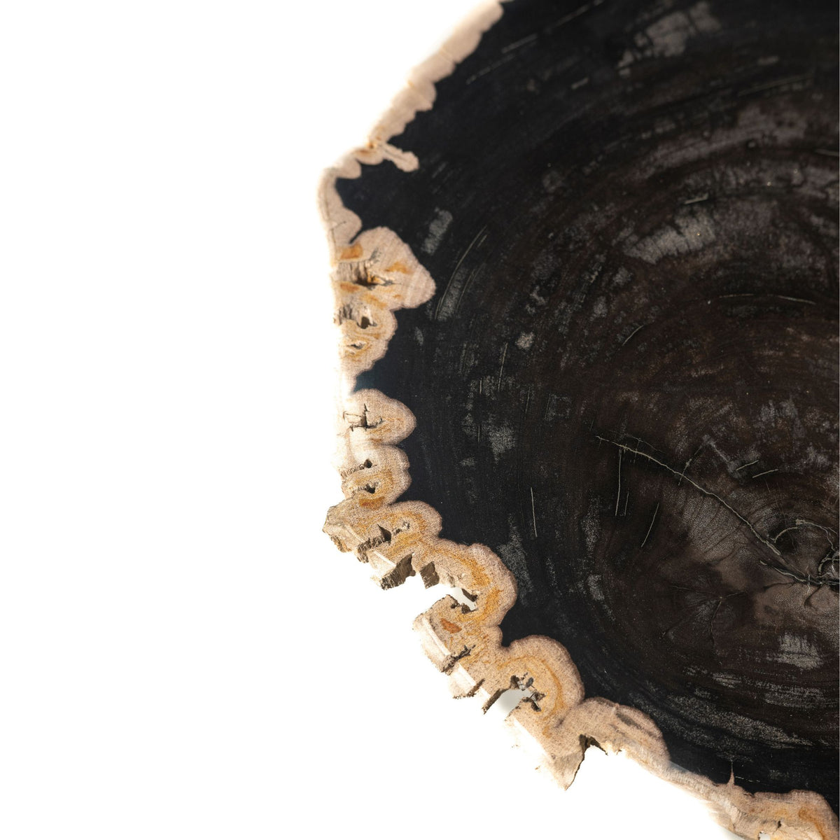Jisse black fossil stone side table with twist base