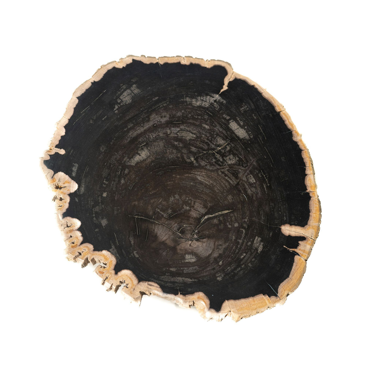 Jisse black fossil stone side table with twist base