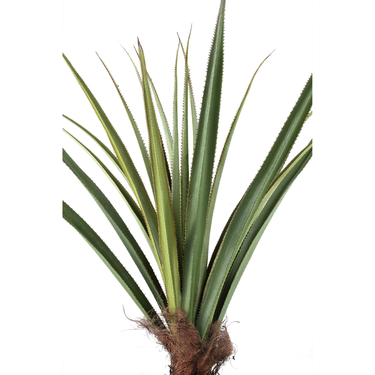 Set of two faux pandanus trees in pots, 150cm, green